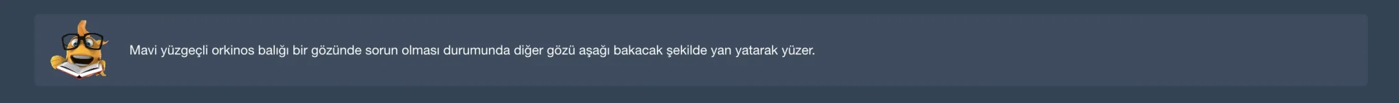 oltamisina random bilgi.webp